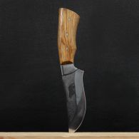 Нож Спутник "Барс" (длина: 24.8cm, лезвие: 12cm), в кожаных ножнах