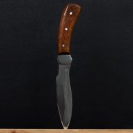 Нож Спутник "Белуга" (длина: 25cm, лезвие: 13.5cm), в кожаных ножнах