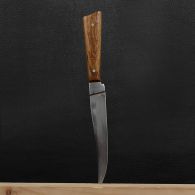 Нож бытовой, для разделки рыбы Спутник (250 x 22 x 1.5 мм), с притыном