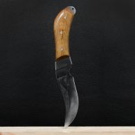 Нож Спутник "Пескарь" (длина: 21.6cm, лезвие: 10.5cm), в кожаных ножнах