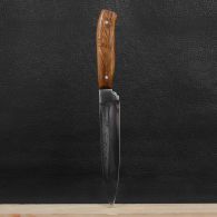 Нож бытовой, разделочный Спутник (260 х 27 х 1.5mm), с притыном