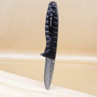 Нож складной Ganzo G620-B2 (длина: 20.5cm, лезвие: 8.8cm) с травлением, черный