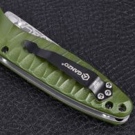 Нож складной Ganzo G620-G2 (длина: 20.5cm, лезвие: 8.8cm) с травлением, хаки