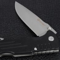 Нож складной Ganzo G713 (длина: 21cm, лезвие: 9cm)